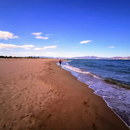 En El Campo Cerca De La Playa *